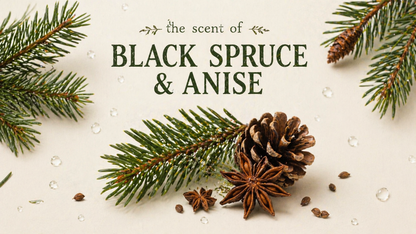 Black Spruce and Anise
