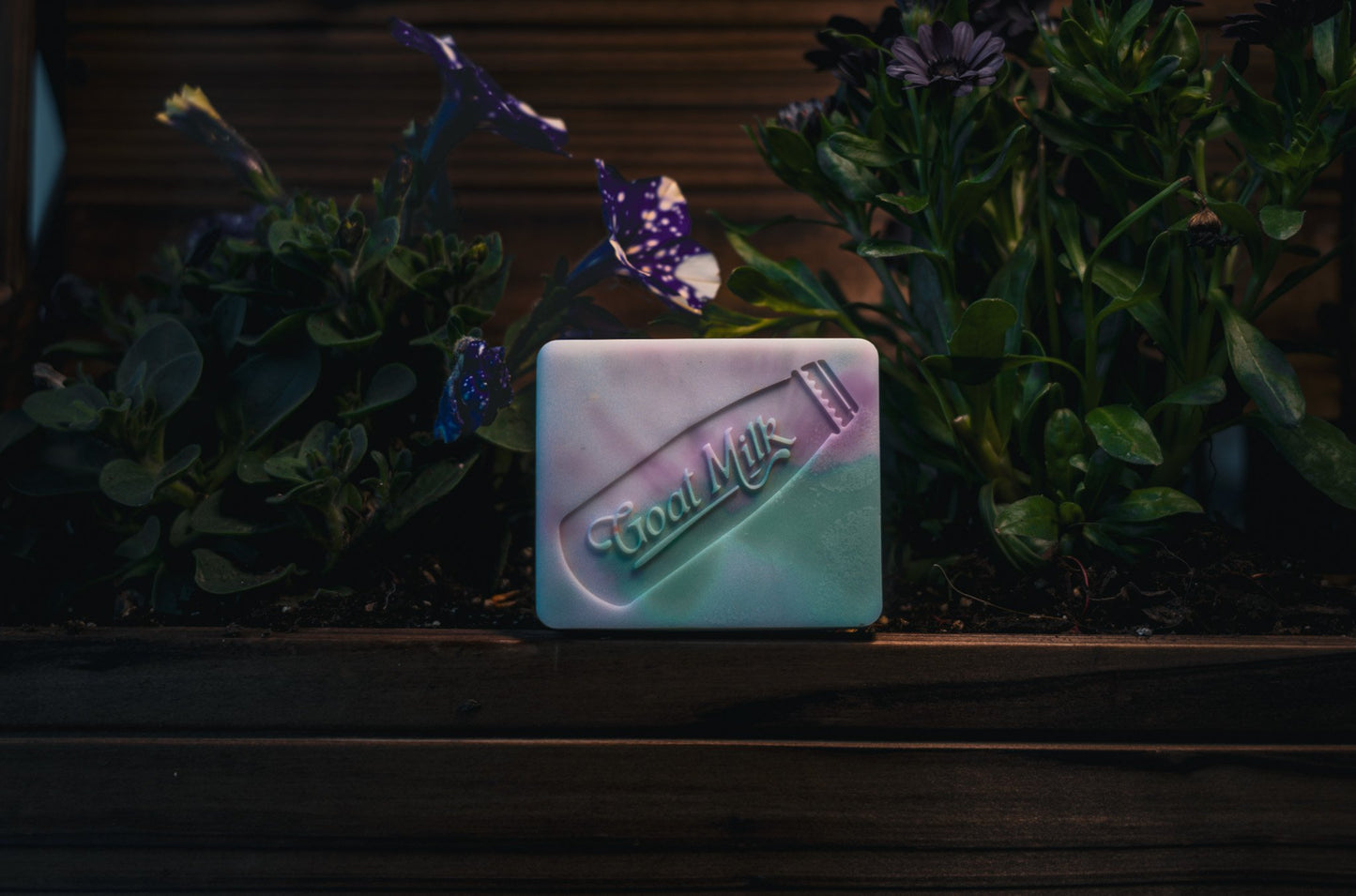 Japanese Cherry Blossom